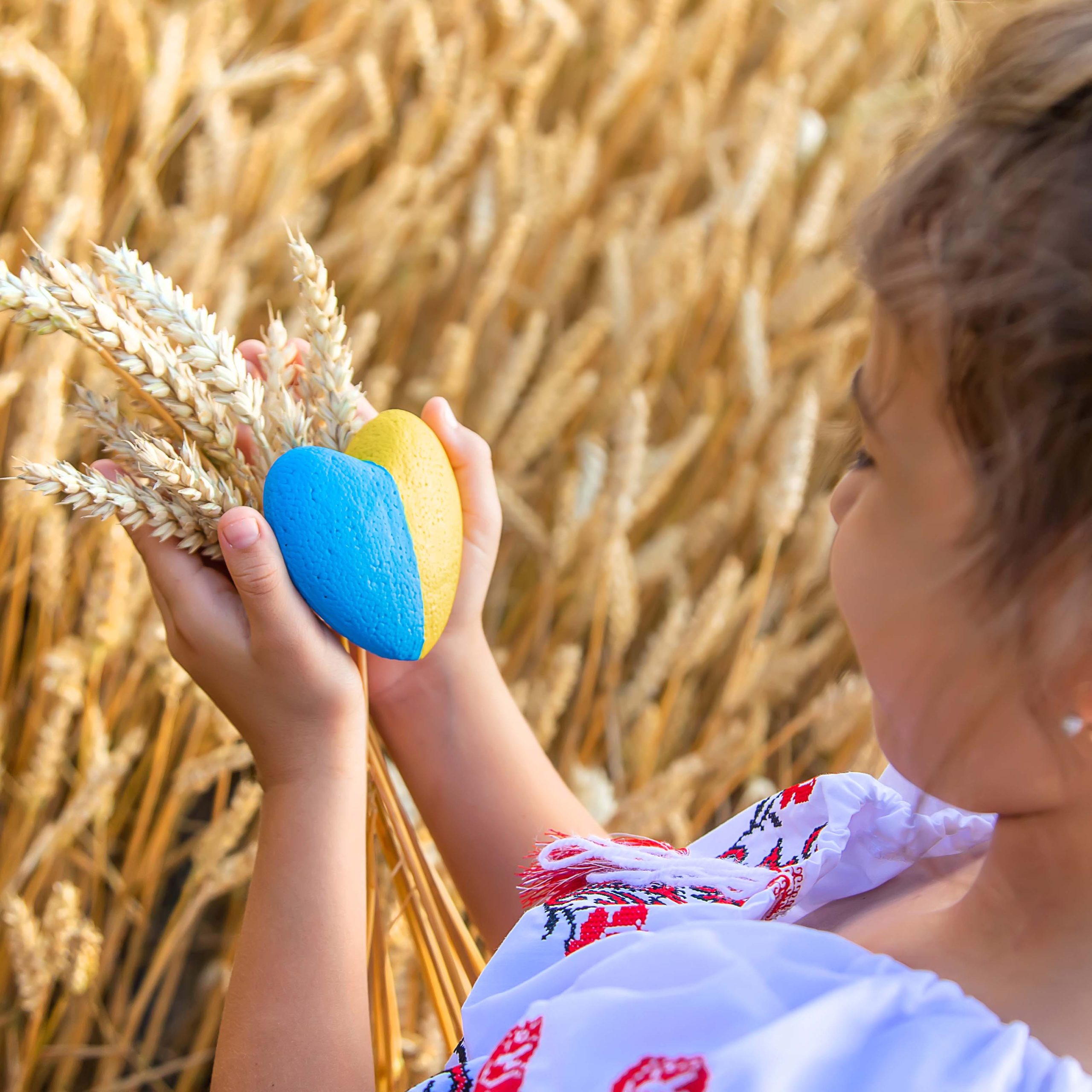 Child in a wheat field. In vyshyvanka, the concept of the Independence Day of Ukraine. Selective focus. Kid.